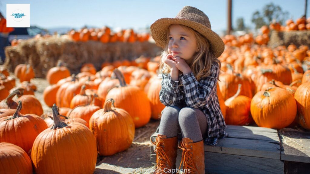Cute Pumpkin Captions