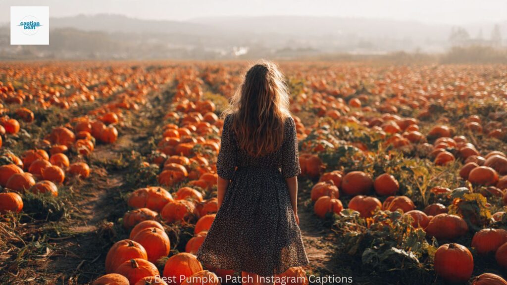 Best Pumpkin Patch Instagram Captions