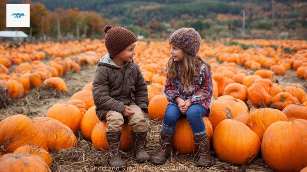 Short and Simple Pumpkin Patch Captions