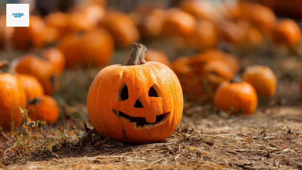 Fall Vibes and Pumpkin Patch Captions for Instagram