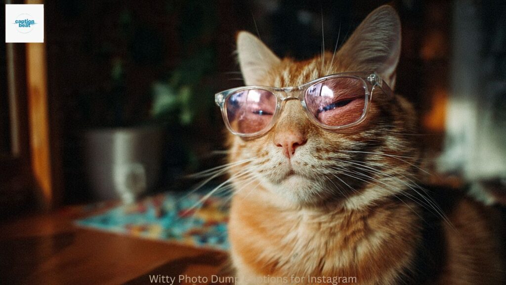 Witty Photo Dump Captions for Instagram