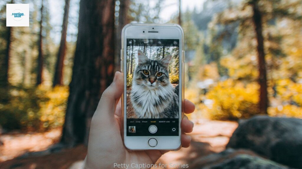 Petty Captions for Selfies