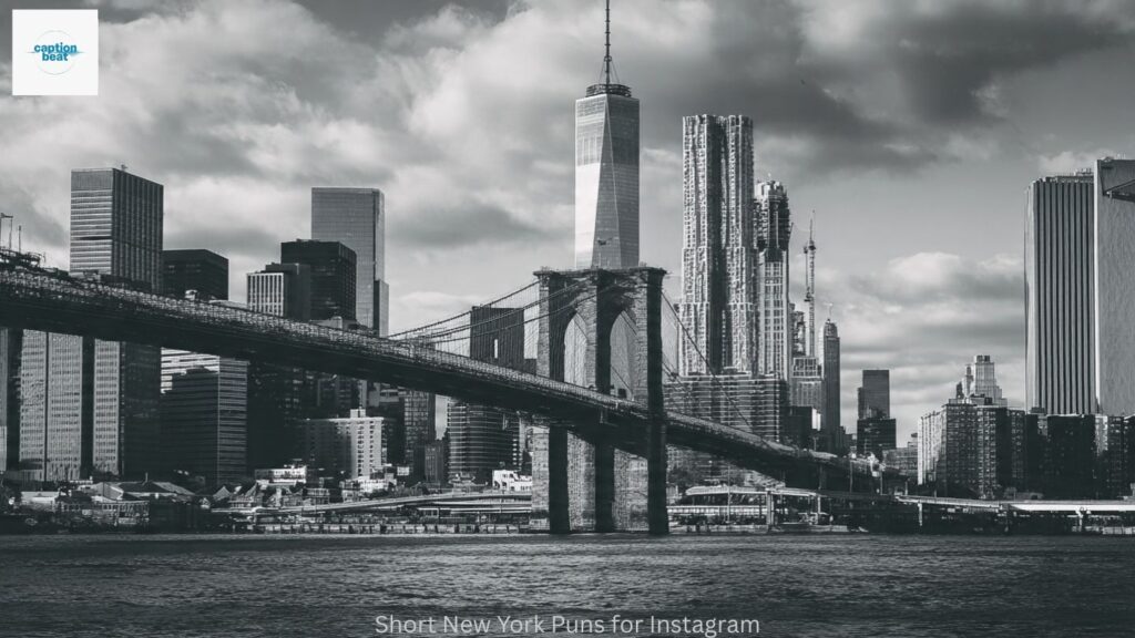 Short New York Puns for Instagram