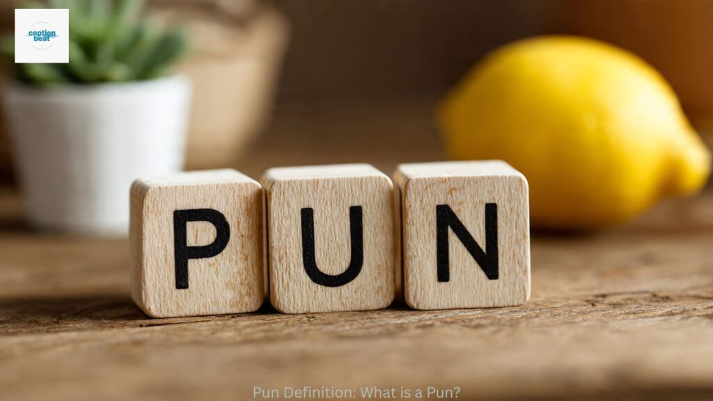 Pun Definition: What is a Pun?