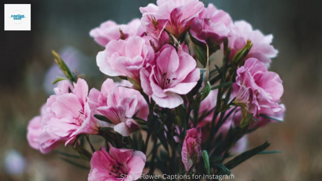 Short Flower Captions for Instagram