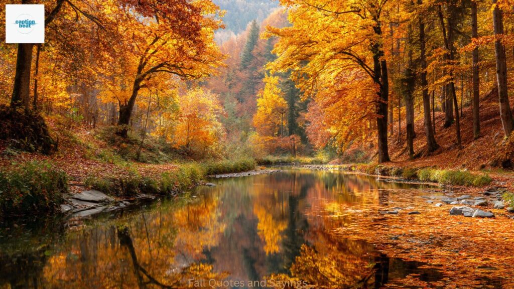 Fall Quotes and Sayings