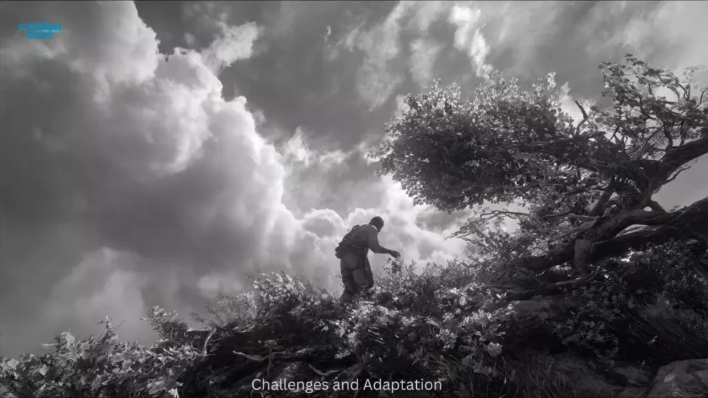 Challenges and Adaptation