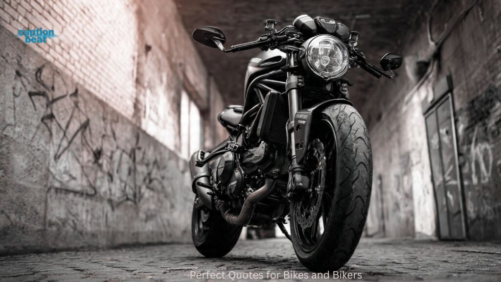 Perfect Quotes for Bikes and Bikers