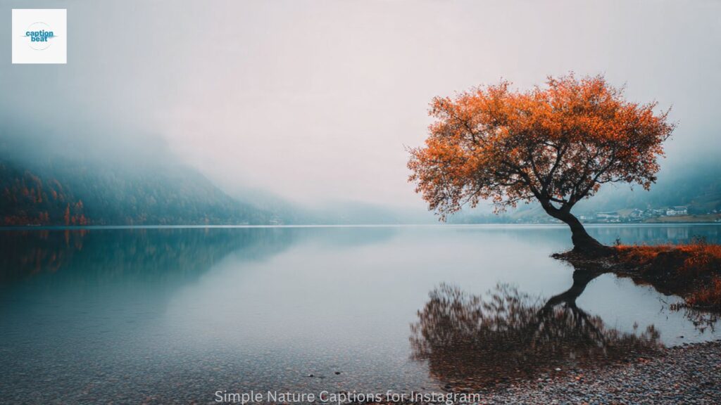 Simple Nature Captions for Instagram